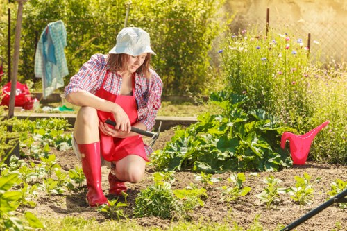 Expert garden clearance services at work