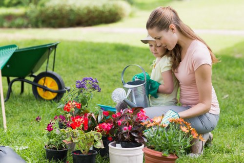 Eco-friendly garden features with solar lighting