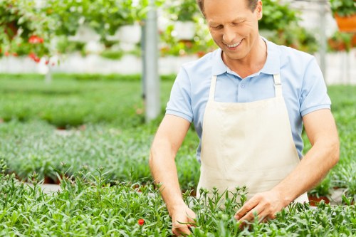 Professional deck repair services