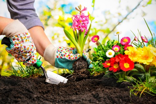 Tree removal service in Finsbury Park