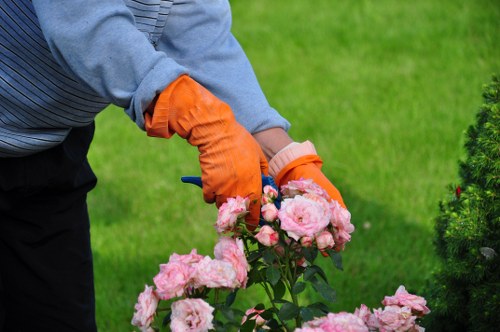 Professional gardener using tools in Finsbury Park garden