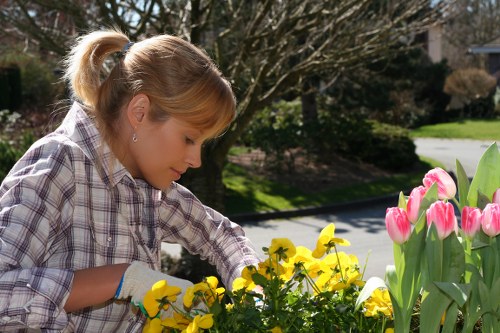 Team arranging remedial gardening work