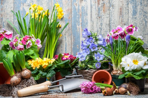 Eco-friendly lawn care practices in Finsbury Park