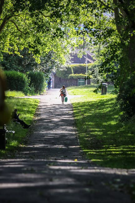 A tranquil park scene featuring a paved pathway flanked by lush green grass and mature trees with dense foliage, casting dappled sunlight across the walkway. In the distance, a person is walking away,